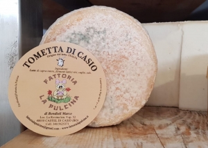 Tometta di Casio Classica 350g o 1,3Kg