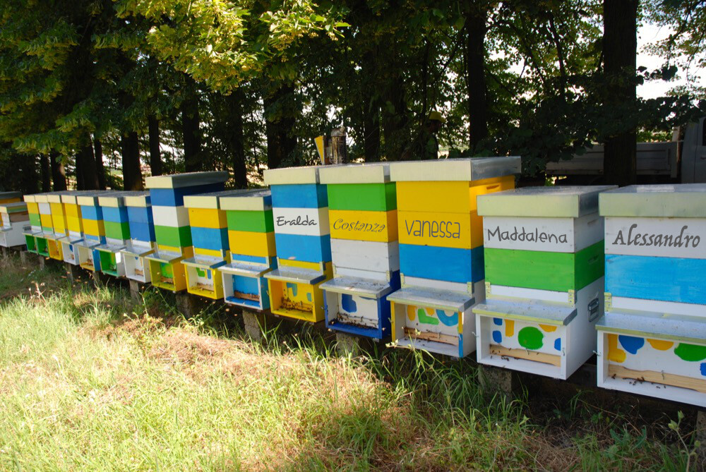 Adotta un Arnia per 1 annno