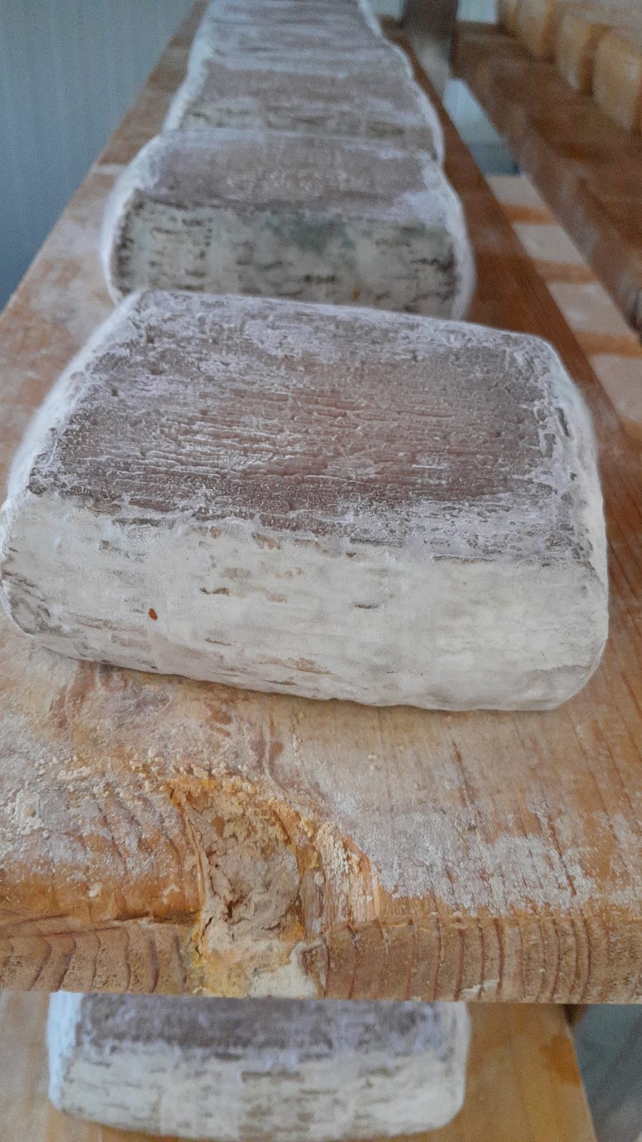 Formaggio al caffè 450g