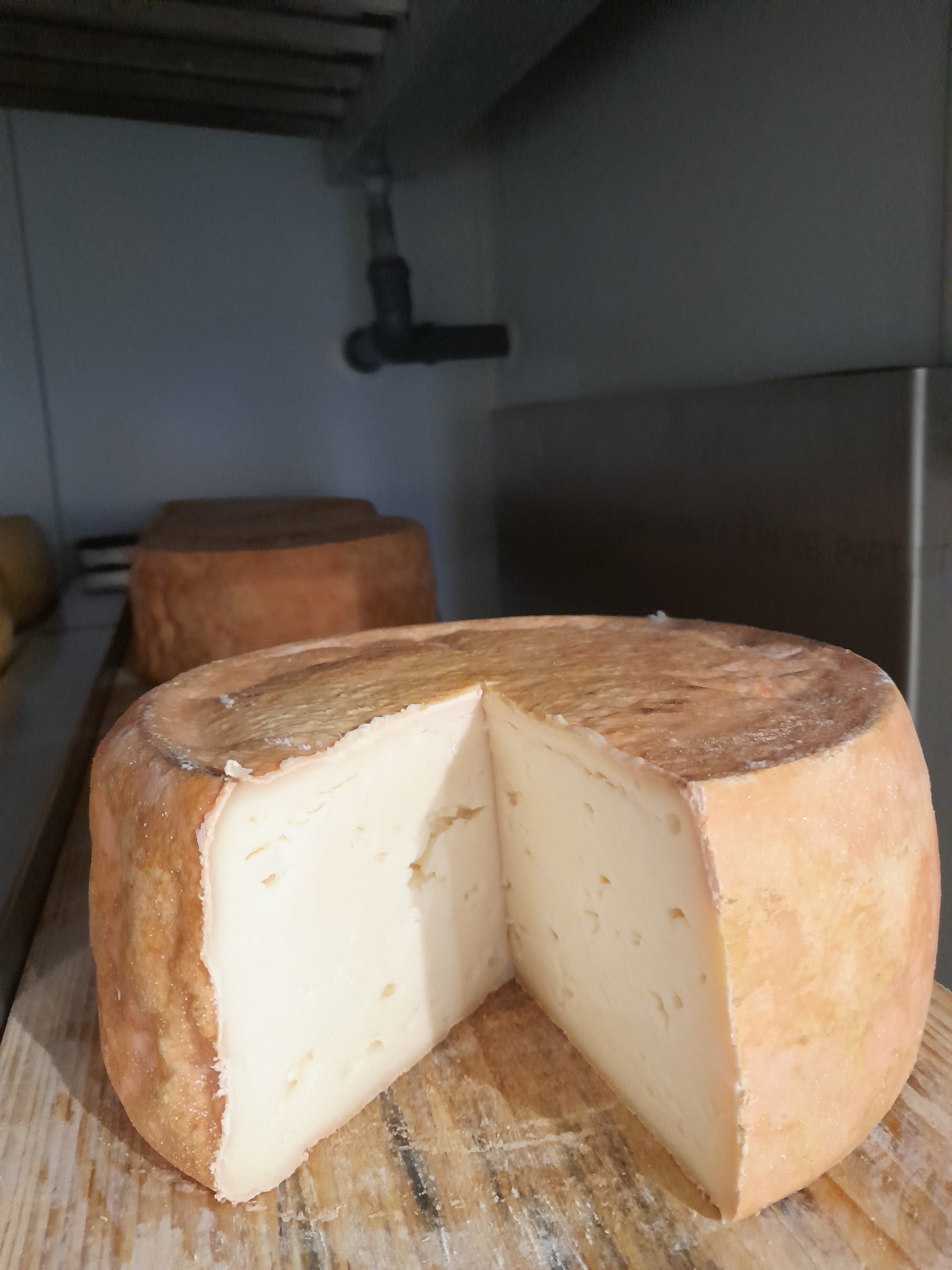 Caciotta a crosta lavata, tipo alpeggio 1,3 kg